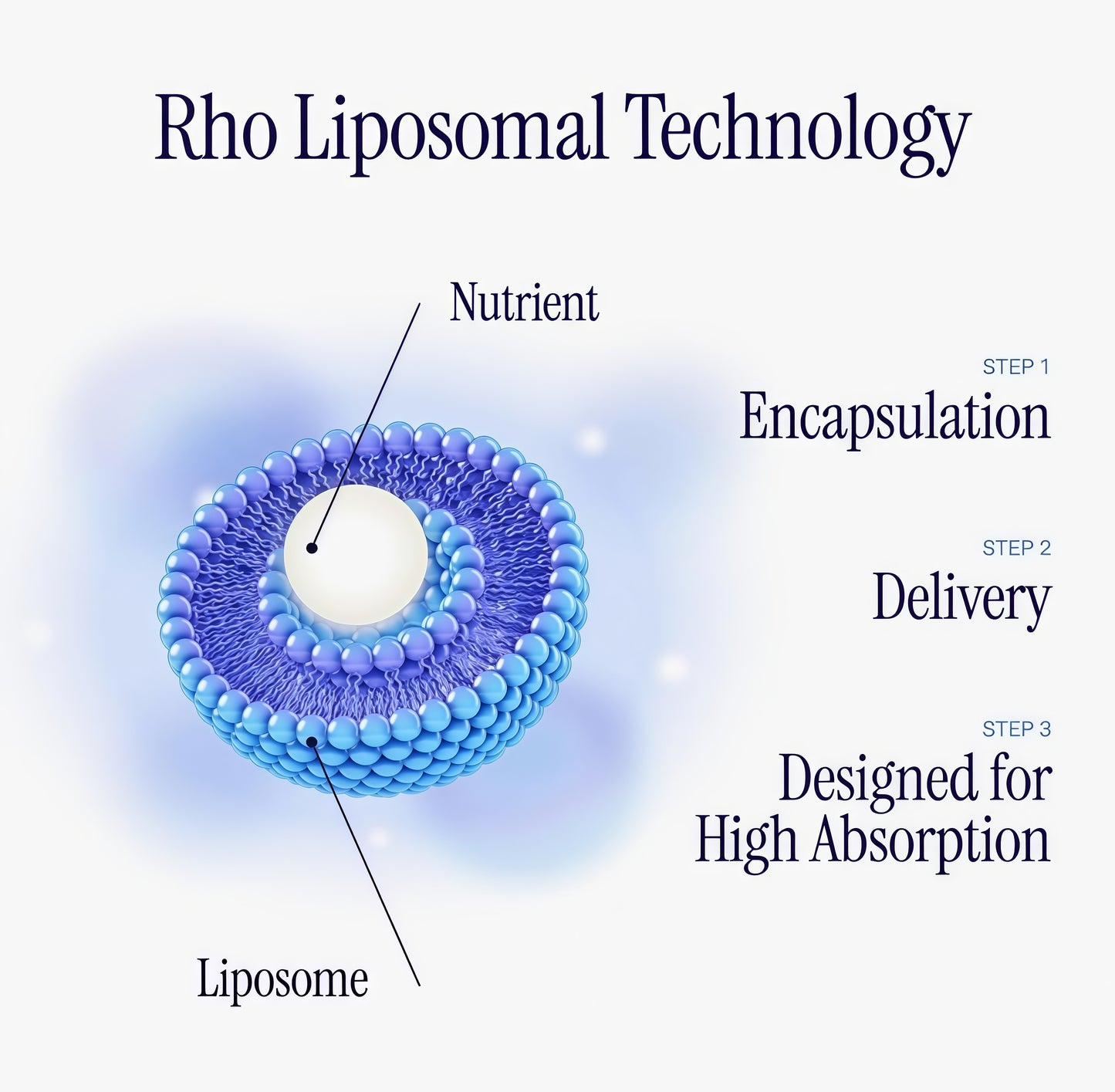 Rho Nutrition Liposomal Glutathione -UltraHigh Absorption Liquid GlutathioneSupplement-Supports Natural DetoxificationImmune System, Skin Health, Mental Clarity &Overall Well-Being