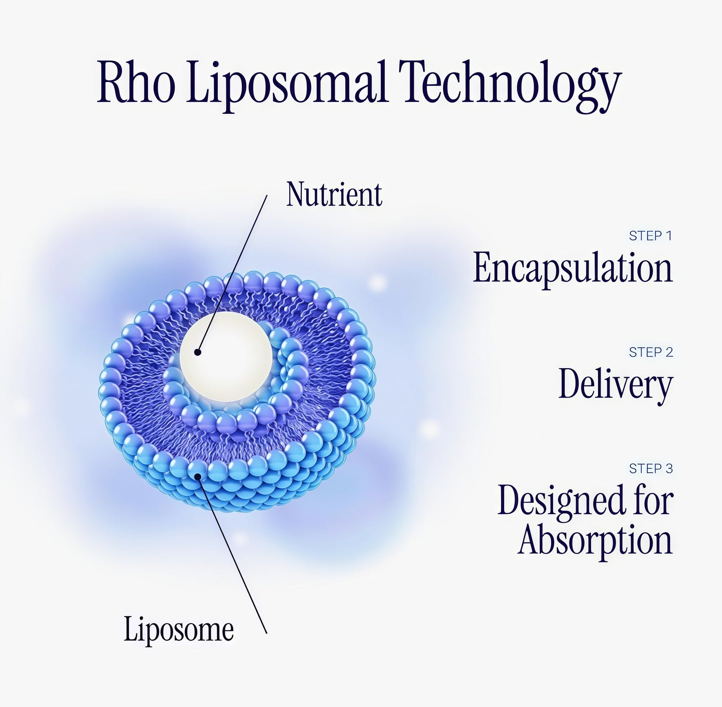 Rho Nutrition Liposomal NAD+- LiquidSupplement Designed to Help SupportAbsorption-Active Form of NAD+ HelpsSupport Normal Cellular Health, HealthyAging, Energy Metabolism and Overall Vitality